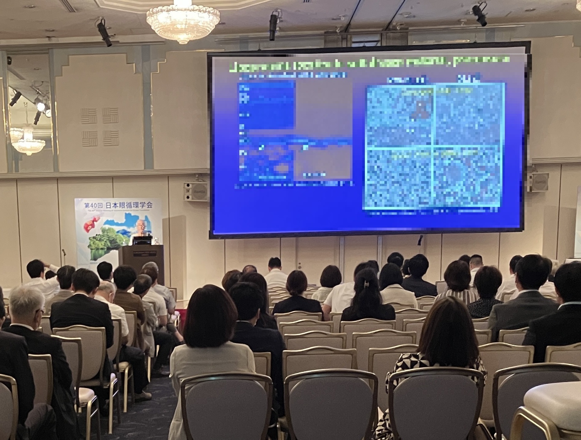 日本眼循環学会